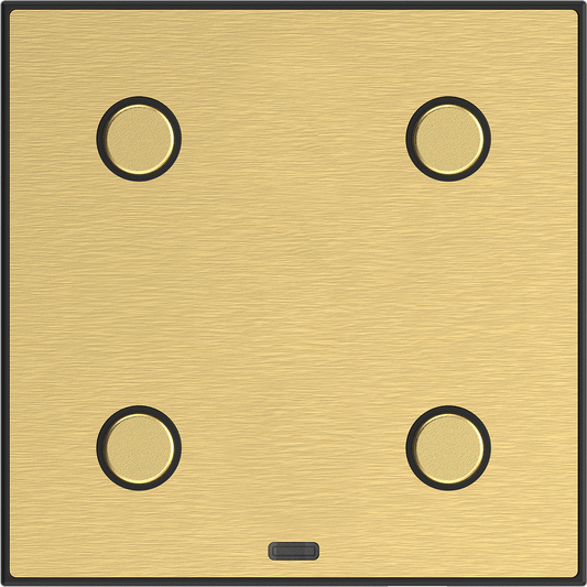 RFMB-42-BB